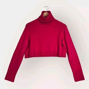 Zara Crop Sweater Sz S Pink Fuschia High Neck Turtleneck Cropped Pullover